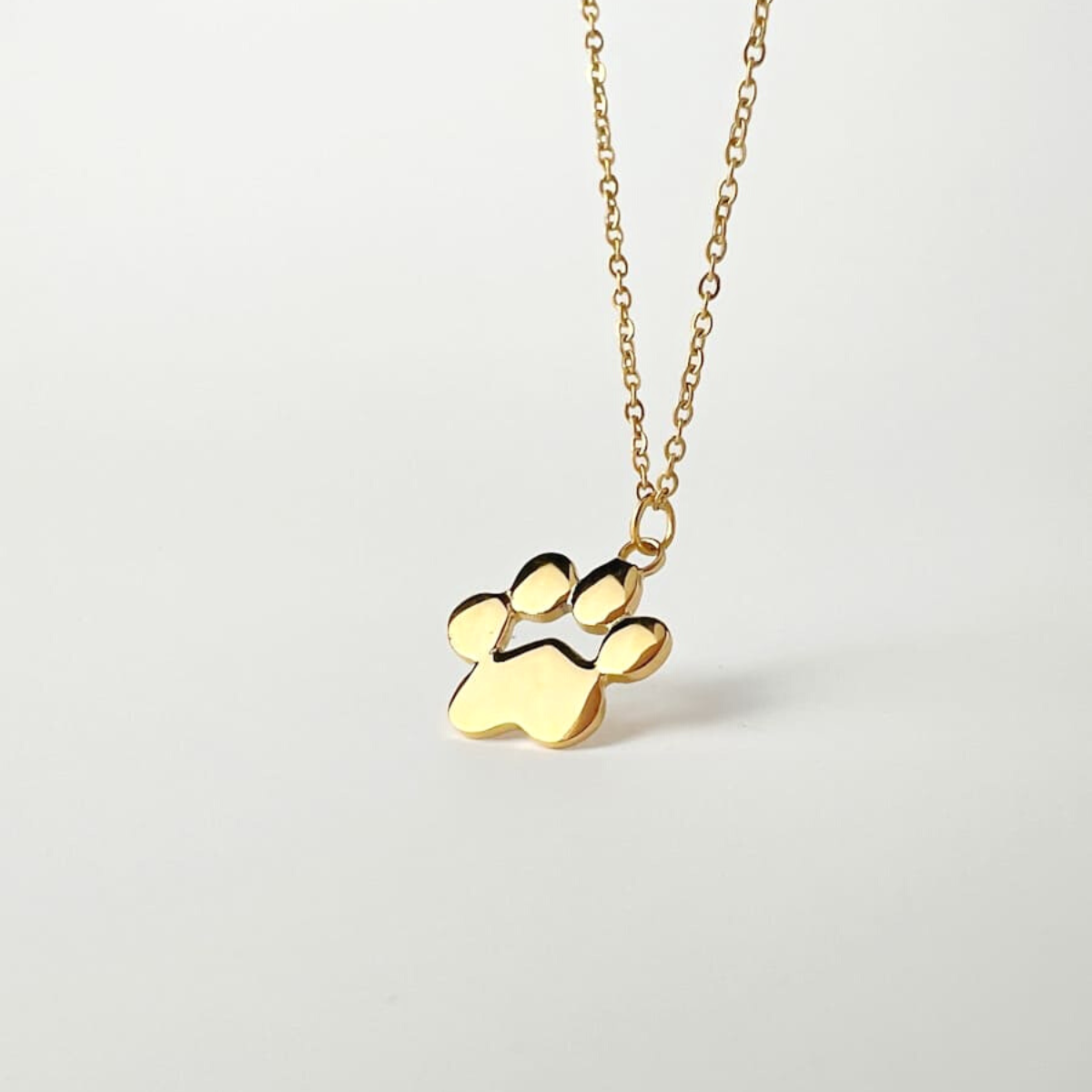 Collar Pets