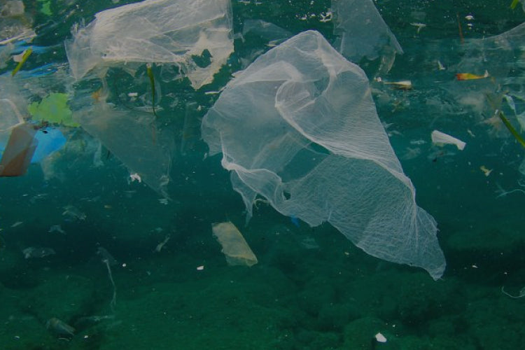 Contaminación y cambio climático