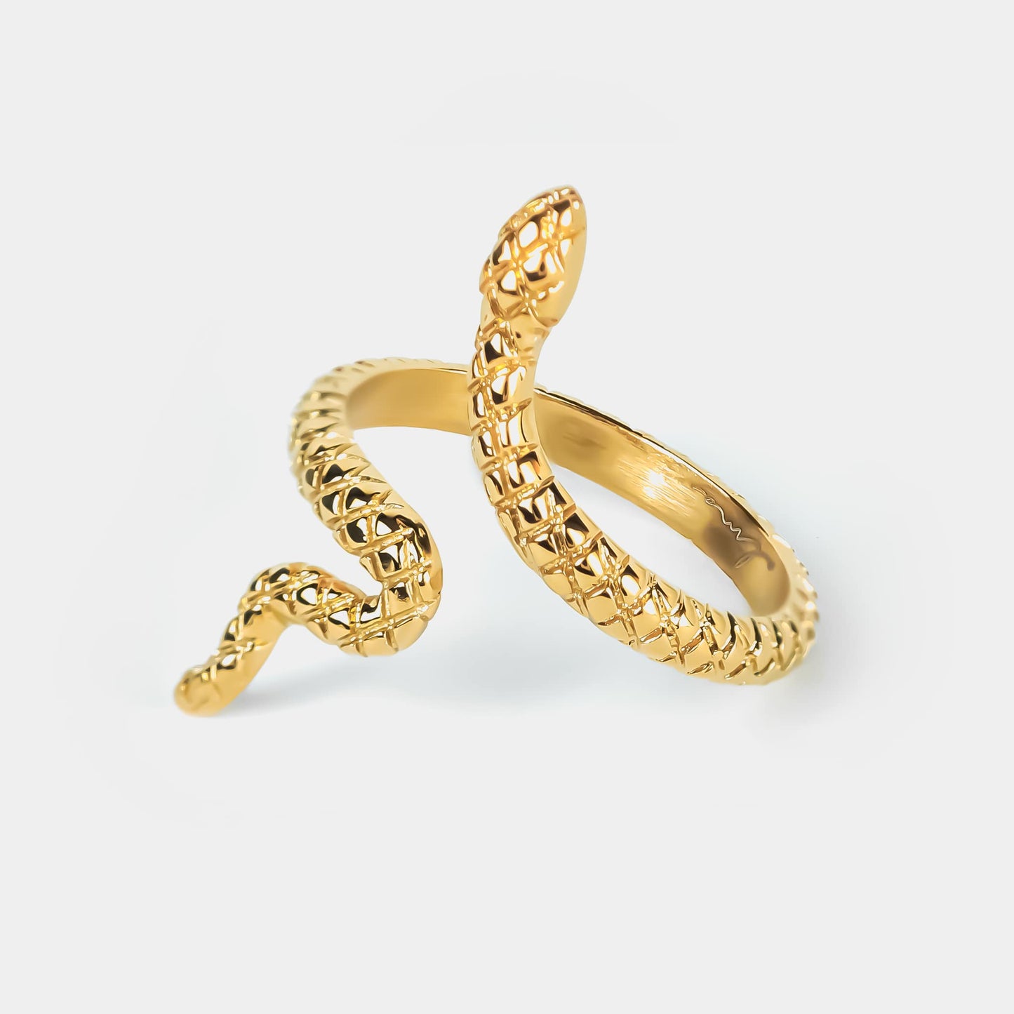 Anillo solidario serpiente